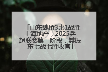山东魏桥3比1战胜上海地产，2025乒超联赛第一阶段，樊振东七战七胜收官