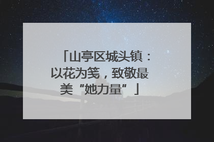 山亭区城头镇：以花为笺，致敬最美“她力量”