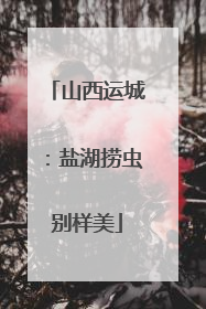 山西运城：盐湖捞虫别样美