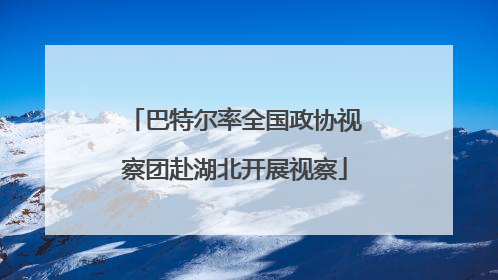 巴特尔率全国政协视察团赴湖北开展视察