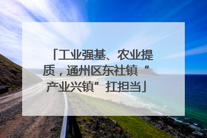 工业强基、农业提质，通州区东社镇“产业兴镇”扛担当