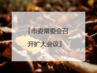 市委常委会召开扩大会议