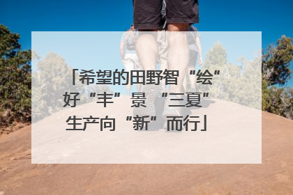 希望的田野智“绘”好“丰”景 “三夏”生产向“新”而行