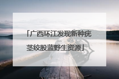 广西环江发现新种疣茎绞股蓝野生资源