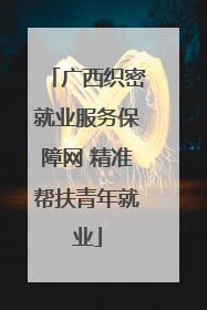 广西织密就业服务保障网 精准帮扶青年就业