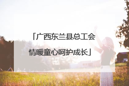 广西东兰县总工会情暖童心呵护成长