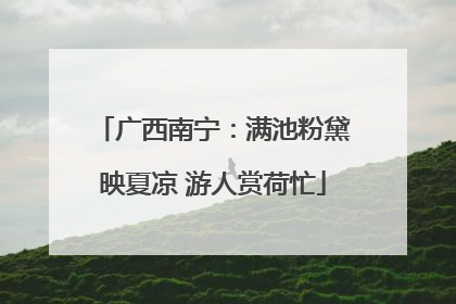 广西南宁：满池粉黛映夏凉 游人赏荷忙