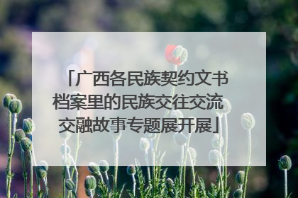 广西各民族契约文书档案里的民族交往交流交融故事专题展开展
