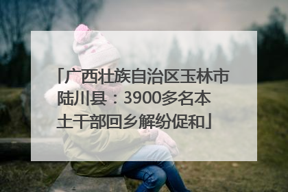 广西壮族自治区玉林市陆川县：3900多名本土干部回乡解纷促和
