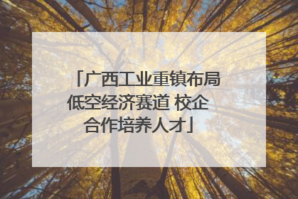 广西工业重镇布局低空经济赛道 校企合作培养人才