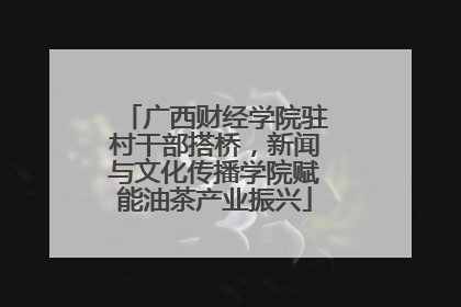广西财经学院驻村干部搭桥，新闻与文化传播学院赋能油茶产业振兴