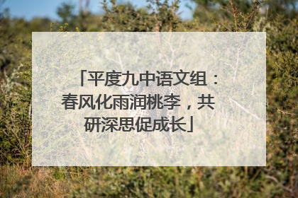 平度九中语文组：春风化雨润桃李，共研深思促成长