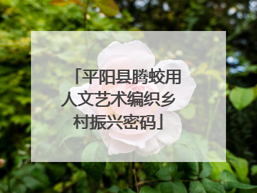 平阳县腾蛟用人文艺术编织乡村振兴密码