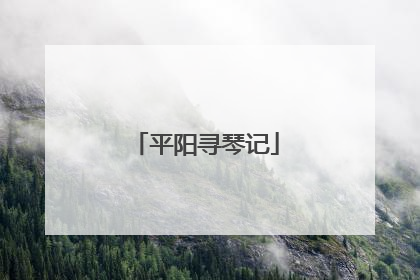 平阳寻琴记