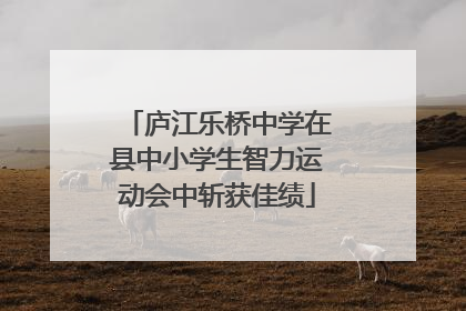 庐江乐桥中学在县中小学生智力运动会中斩获佳绩