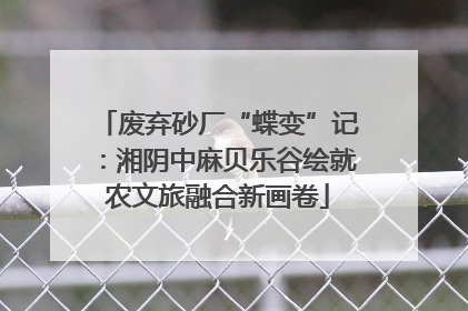 废弃砂厂“蝶变”记：湘阴中麻贝乐谷绘就农文旅融合新画卷