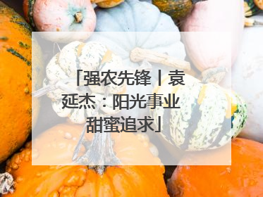 强农先锋丨袁延杰：阳光事业 甜蜜追求