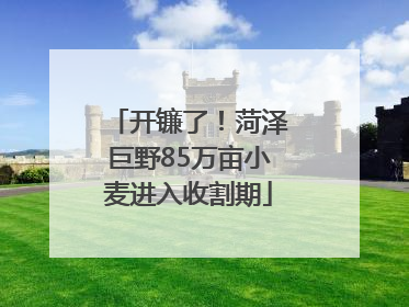 开镰了！菏泽巨野85万亩小麦进入收割期