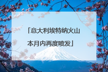 意大利埃特纳火山本月内再度喷发