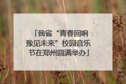 我省“青春回响 豫见未来”校园音乐节在郑州圆满举办