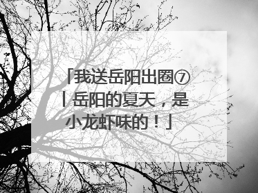 我送岳阳出圈⑦丨岳阳的夏天，是小龙虾味的！