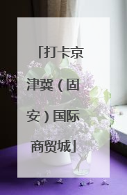 打卡京津冀（固安）国际商贸城