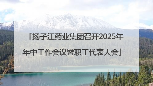 扬子江药业集团召开2025年年中工作会议暨职工代表大会