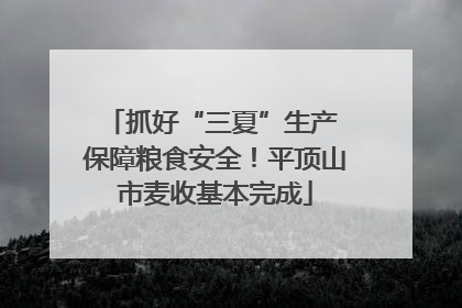 抓好“三夏”生产 保障粮食安全！平顶山市麦收基本完成
