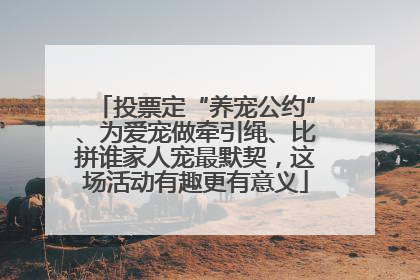 投票定“养宠公约”、为爱宠做牵引绳、比拼谁家人宠最默契，这场活动有趣更有意义