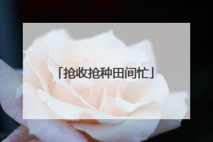 抢收抢种田间忙