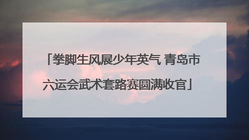 拳脚生风展少年英气 青岛市六运会武术套路赛圆满收官