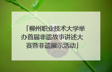 柳州职业技术大学举办首届非遗故事讲述大赛暨非遗展示活动