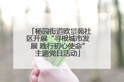 杨园街道欧景苑社区开展“寻根城市发展 践行初心使命”主题党日活动