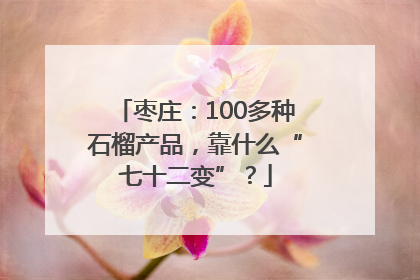枣庄：100多种石榴产品，靠什么“七十二变”？