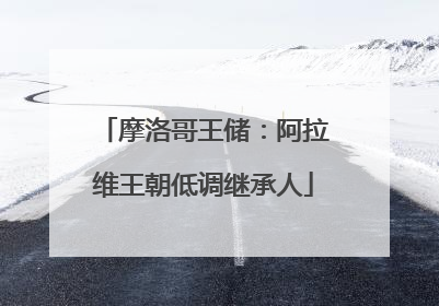 摩洛哥王储：阿拉维王朝低调继承人
