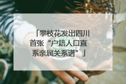 攀枝花发出四川首张“户籍人口直系亲属关系谱”