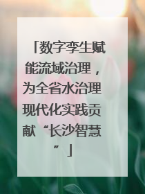 数字孪生赋能流域治理，为全省水治理现代化实践贡献“长沙智慧”