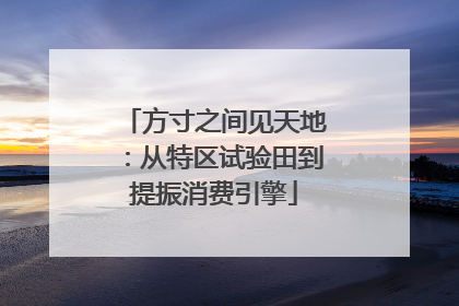 方寸之间见天地：从特区试验田到提振消费引擎