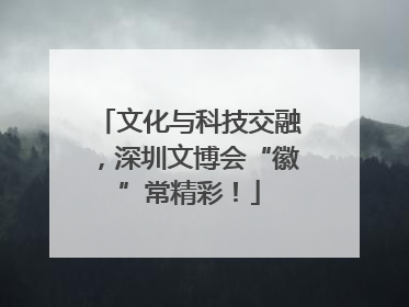 文化与科技交融，深圳文博会“徽”常精彩！