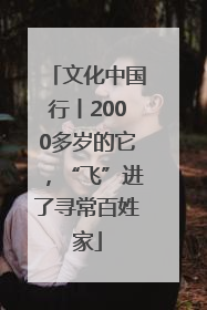 文化中国行丨2000多岁的它，“飞”进了寻常百姓家