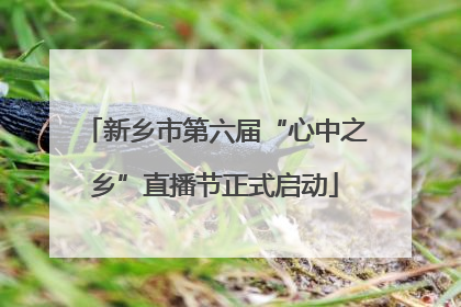 新乡市第六届“心中之乡”直播节正式启动