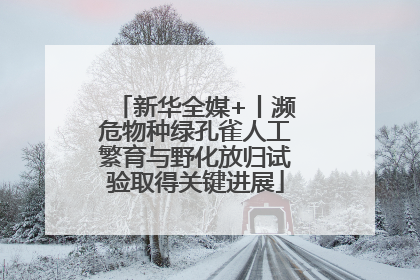 新华全媒+丨濒危物种绿孔雀人工繁育与野化放归试验取得关键进展