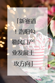 新赛道！洛阳勾勒风口产业发展主攻方向