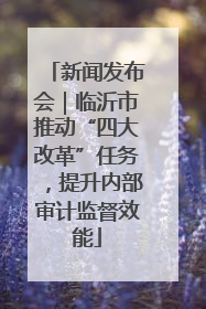 新闻发布会｜临沂市推动“四大改革”任务，提升内部审计监督效能