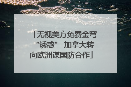 无视美方免费金穹“诱惑” 加拿大转向欧洲谋国防合作