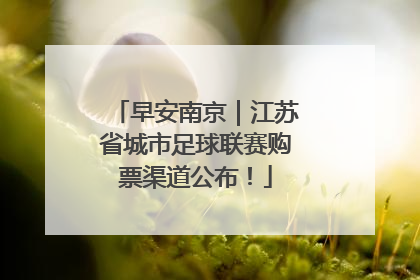 早安南京｜江苏省城市足球联赛购票渠道公布！