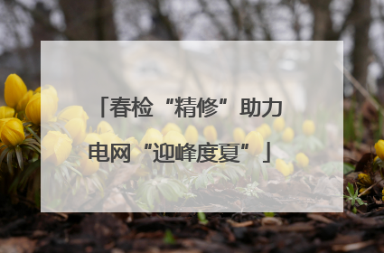 春检“精修”助力电网“迎峰度夏”