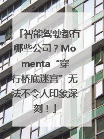 智能驾驶都有哪些公司？Momenta“穿行桥底迷宫”无法不令人印象深刻！