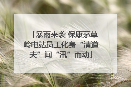 暴雨来袭 保康茅草岭电站员工化身“清道夫”闻“汛”而动