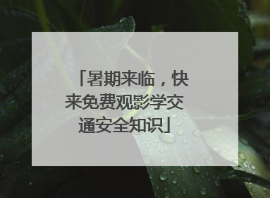 暑期来临，快来免费观影学交通安全知识